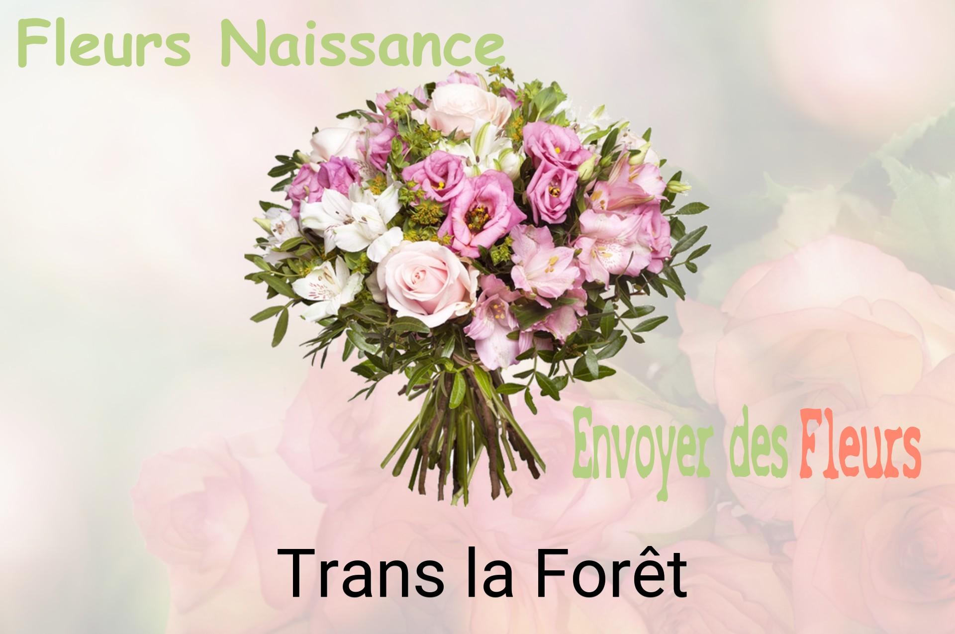 Bouquet de fleurs de naissance livré à Trans-la-Forêt