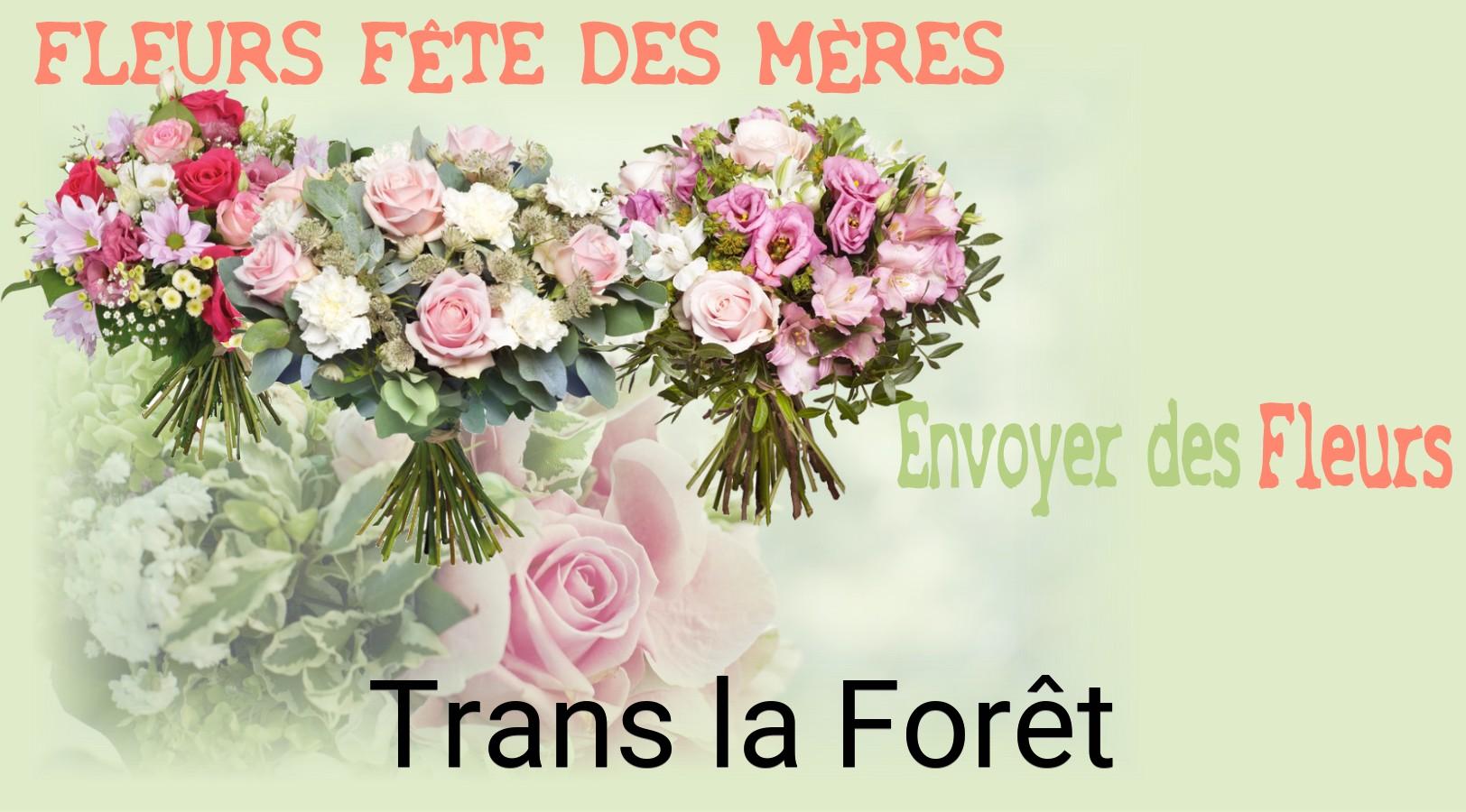 Bouquet de Fête des Mères livré à Trans-la-Forêt